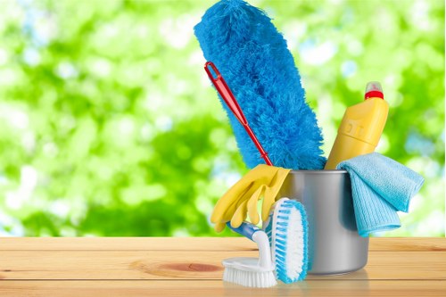 Professional house cleaning in Collierswood for a tidy living room
