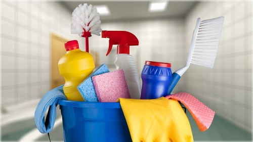 Domestic cleaning professional refreshing a home in Collierswood