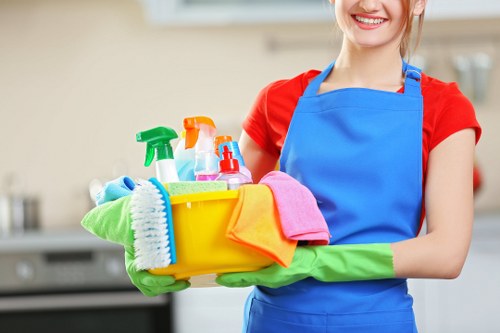 Deep house cleaning in Collierswood for a well-kept family home