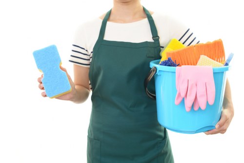Professional carpets cleaner in Collierswood treating a living room carpet