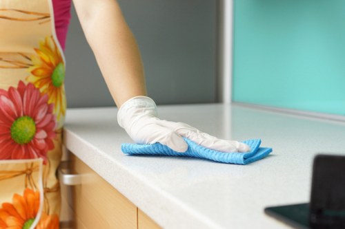 Professional home cleaners in Collierswood preparing a living room for cleaning