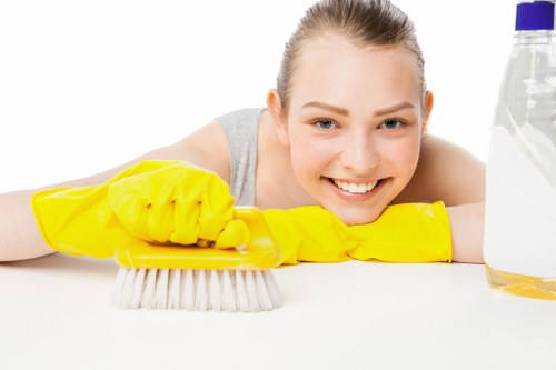 Deep upholstery cleaning in Collierswood treating stains on a living room sofa