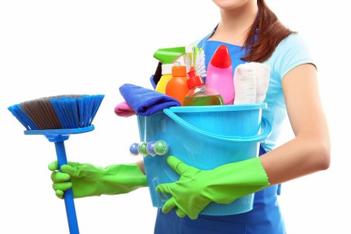 Deep cleaning and sanitising service from cleaners in Collierswood