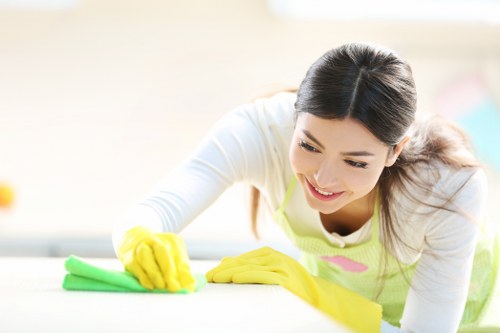 Professional carpet cleaning removing deep dirt and stains from carpet fibers