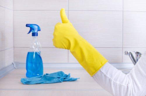 Illustration of inclusive website access for Collierswood Carpetcleaning