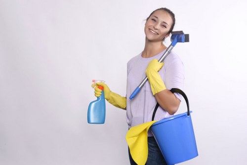 Eco-friendly cleaners in Collierswood maintaining a spotless interior