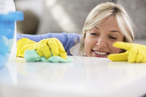 Kitchen deep cleaning in Collierswood with detailed surface care