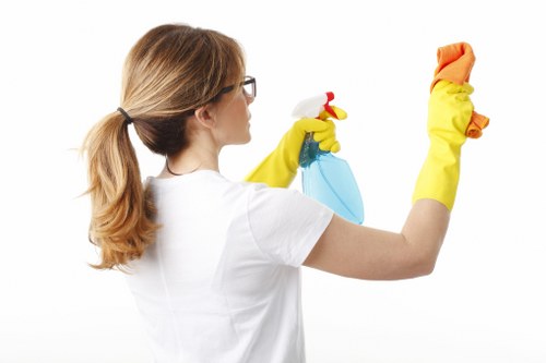 Deep cleaning fabric furniture in Collierswood home