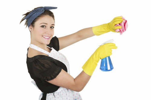 Collierswood carpet cleaning equipment prepared for stain and odour removal