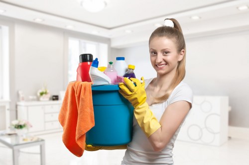 Trusted cleaner in Collierswood refreshing a modern home interior