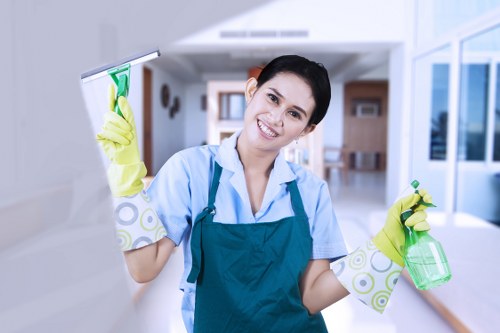 Expert window cleaning service in Collierswood maintaining glass and frames