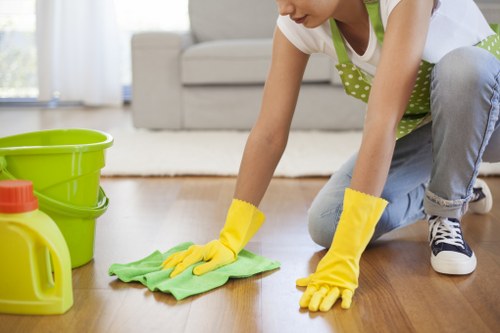 Deep carpet stain removal in a Collierswood home